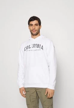Columbia Hombre BASIC LOGO™ II HOODIE - Jersey Con Capucha - White