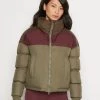Columbia Mujer PIKE LAKE™ CROPPED JACKET - Chaqueta De Invierno - Stone Green/malbec/olive Green