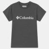 Columbia Unisexo BASIC LOGO YOUTH UNISEX - Camiseta Estampada - Shark Heather