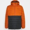 Columbia Hombre POWDER LITE™ ANORAK - Chaqueta De Invierno - Shark/harvester