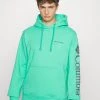 Columbia Hombre VIEWMONT™ II SLEEVE GRAPHIC HOODIE - Jersey Con Capucha - Electric Turquoise
