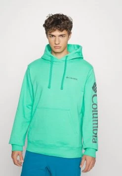 Columbia Hombre VIEWMONT™ II SLEEVE GRAPHIC HOODIE - Jersey Con Capucha - Electric Turquoise