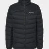Columbia Hombre AUTUMN PARK DOWN JACKET - Chaqueta De Plumas - Black