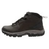 Columbia Hombre NEWTON RIDGE PLUS II WATERPROOF - Zapatillas De Senderismo - Brown