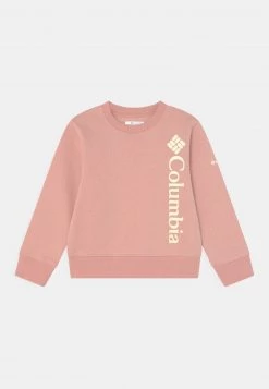 Columbia Unisexo TREK™ CREW UNISEX - Sudadera - Faux Pink