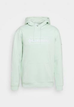 Columbia Hombre BASIC LOGO™ II HOODIE - Jersey Con Capucha - Sea Sprite